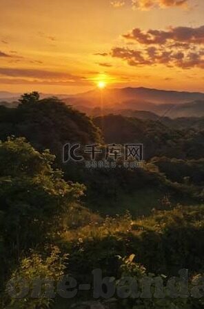 樱花对磐田足球比分-樱花与磐田，绿茵场上的比分交织与情感回响